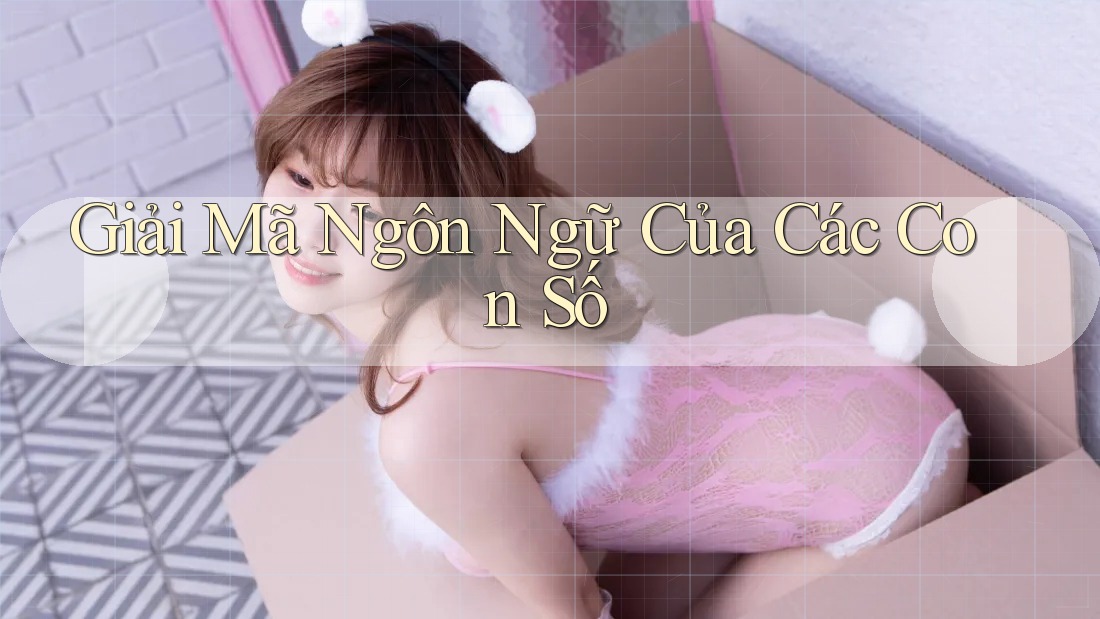 Giải mã “ngôn ngữ” của các con số