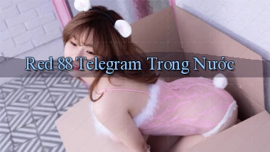 red 88 telegram trong nước