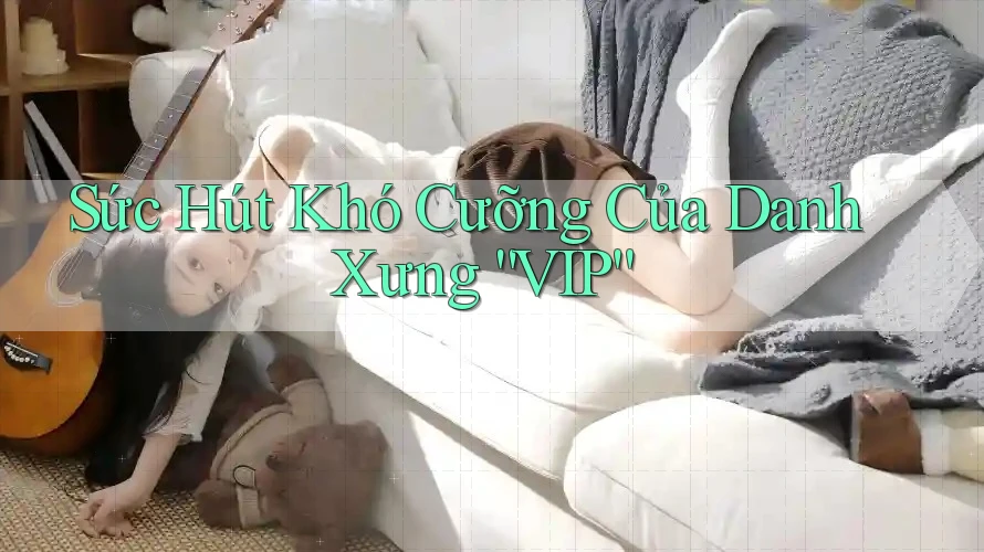 Sức Hút Khó Cưỡng Của Danh Xưng “VIP” Sức Hút Khó Cưỡng Của Danh Xưng “VIP”