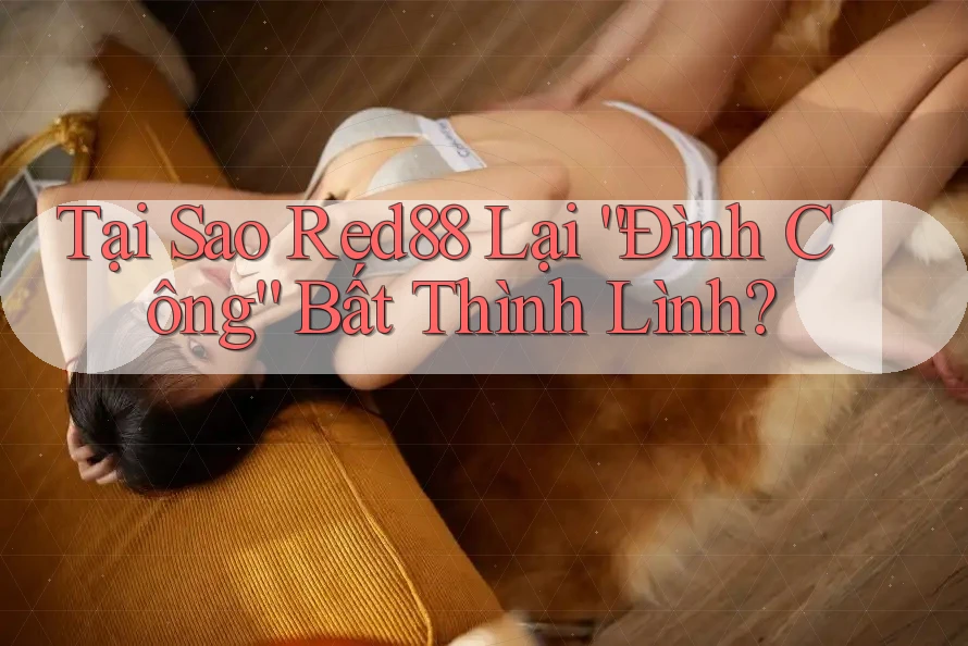 Tại Sao Red88 Lại “Đình Công” Bất Thình Lình? Tại Sao Red88 Lại “Đình Công” Bất Thình Lình?