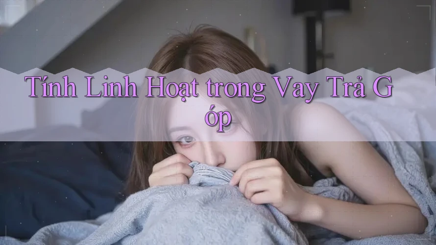 Tính Linh Hoạt trong Vay Trả Góp Tính Linh Hoạt trong Vay Trả Góp