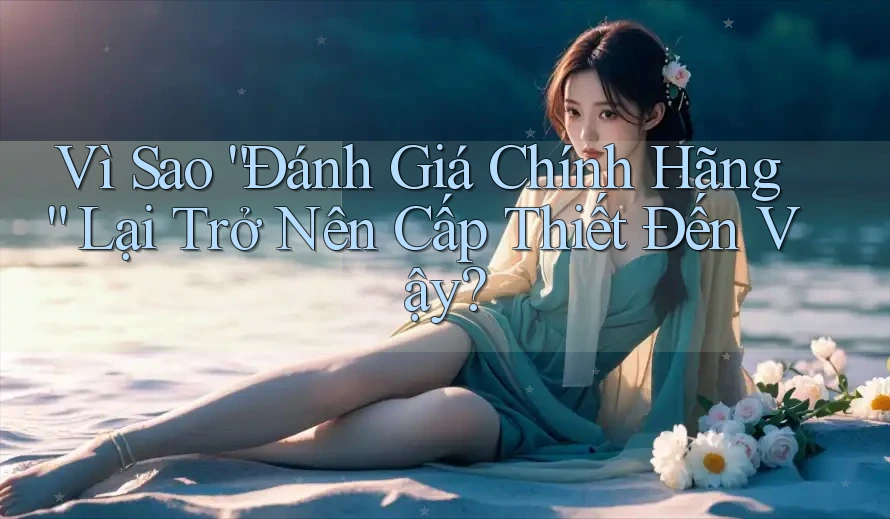 Vì Sao “Đánh Giá Chính Hãng” Lại Trở Nên Cấp Thiết Đến Vậy? Vì Sao “Đánh Giá Chính Hãng” Lại Trở Nên Cấp Thiết Đến Vậy?